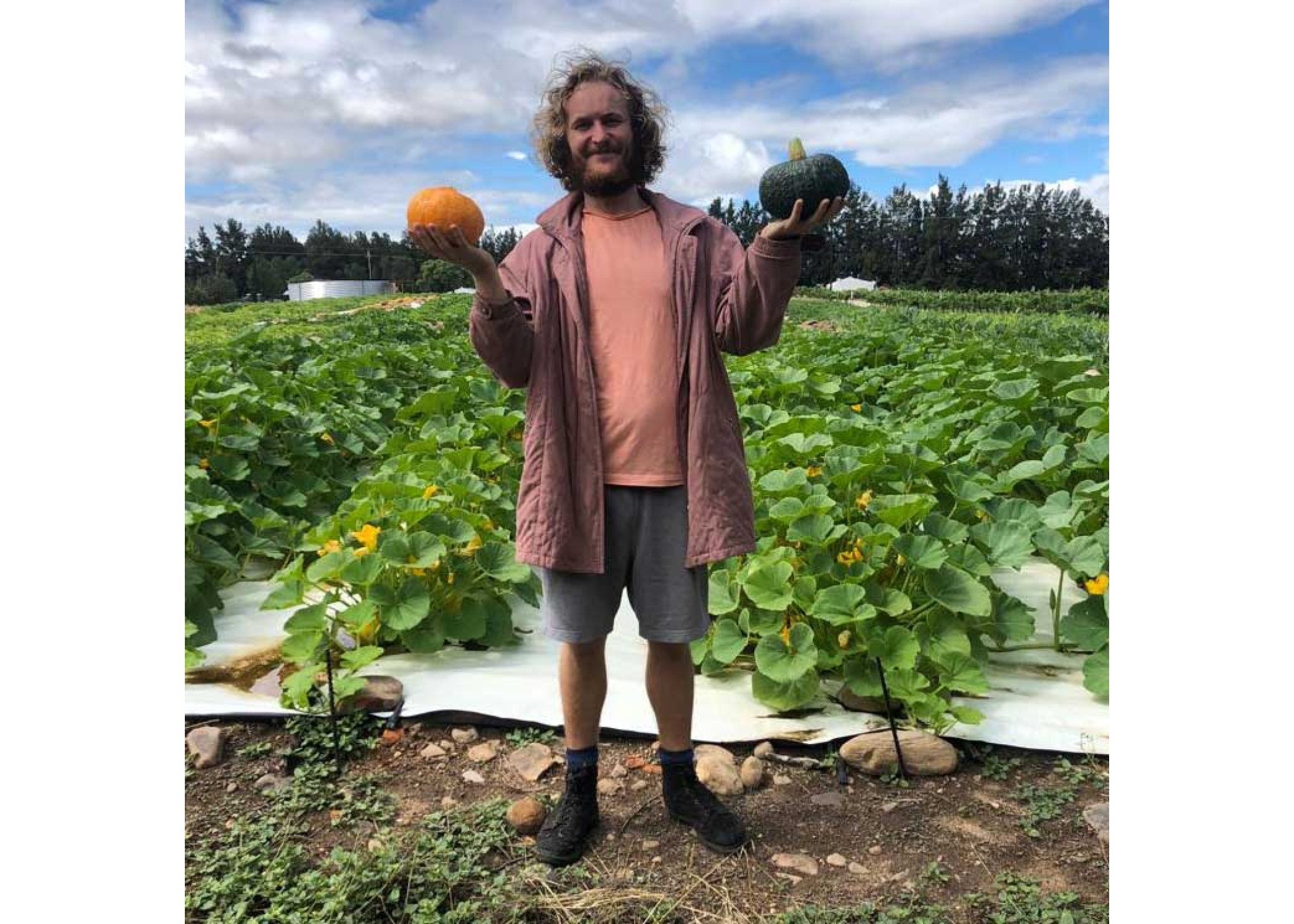 Botanical Taste Farm