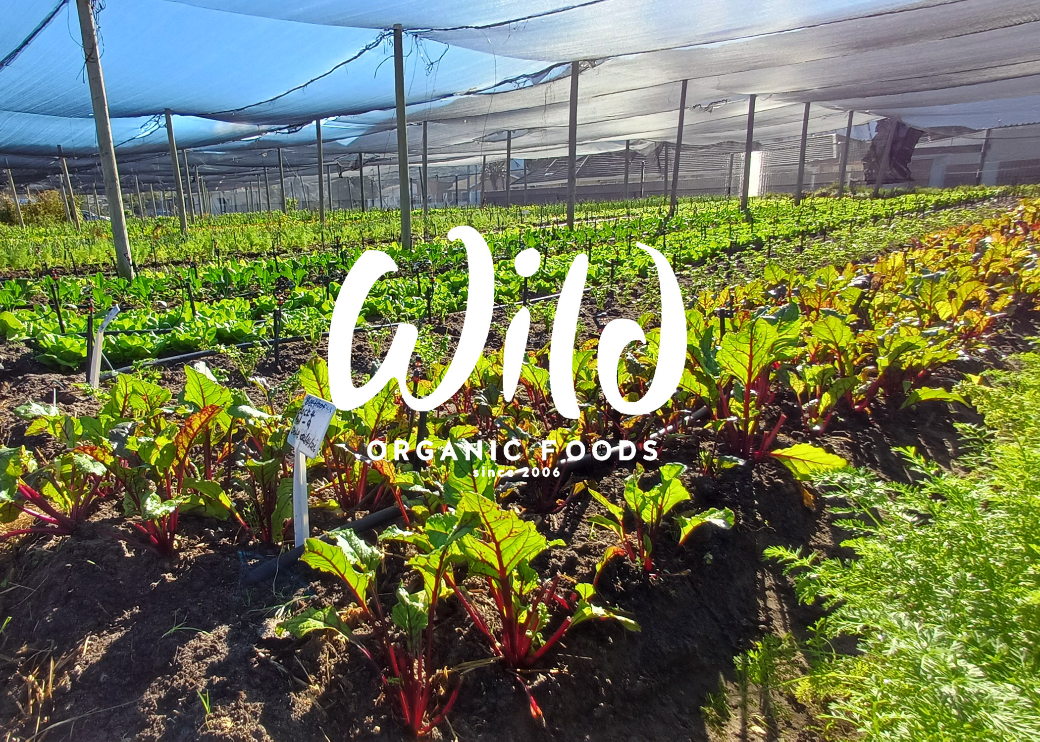 Garden Banner