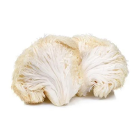 Mushrooms - Lion's Mane Mushrooms - Lion's Mane