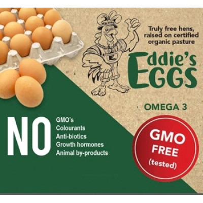 eggs-eddies-dozen