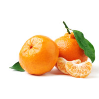 Satsuma/Mandarin