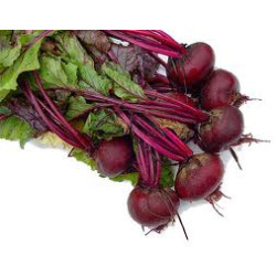 Beetroot Beetroot