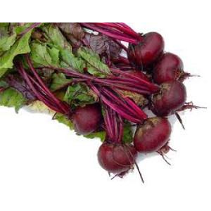 Beetroot Beetroot