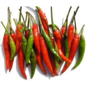 Chilli Pack - 100g Chilli Pack - 100g