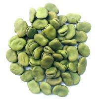 Broad beans - shelled