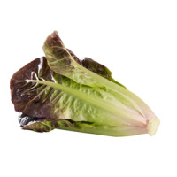 Lettuce - Red COS head