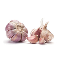 Garlic - Pink Egyptian Garlic - Pink Egyptian
