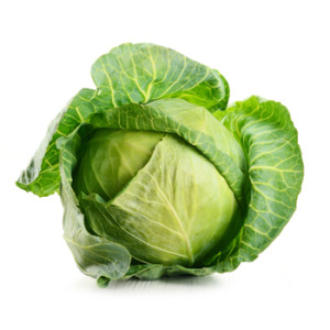 Cabbage - Green
