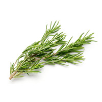 Rosemary - 50g Rosemary - 50g