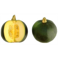 Gem Squash Gem Squash