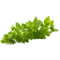 Oreganum - 30g