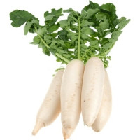 Radish - Daikon 600g Radish - Daikon 600g
