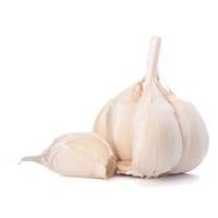 Garlic Bulb