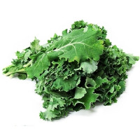 Kale - Flat Leaf 