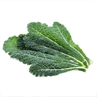 Kale - Tuscan