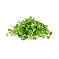 Microgreens - Mustard